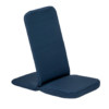 chaise ray lax bleue
